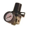 1/4 in. NPT Mini Air Regulator with Steel-Protected Gauge by Primefit -Primefit Shop primefit air compressor parts r1401g 64 1000